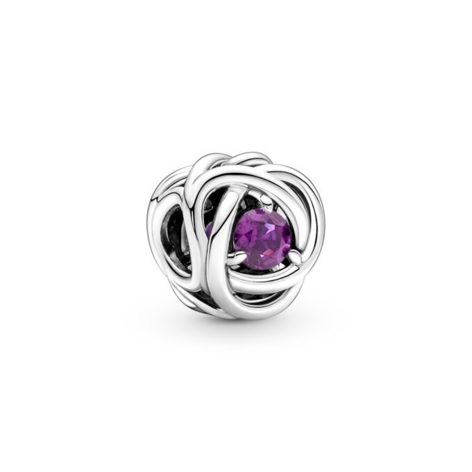 February Purple Eternity Circle Charm