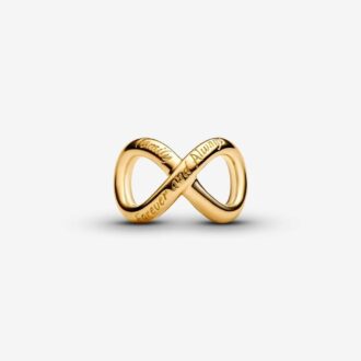 Pandora YGP Forever & Always Infinity Charm
